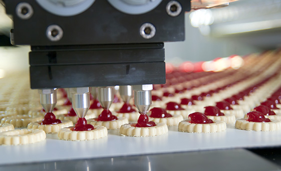 Food & Food Ingredients