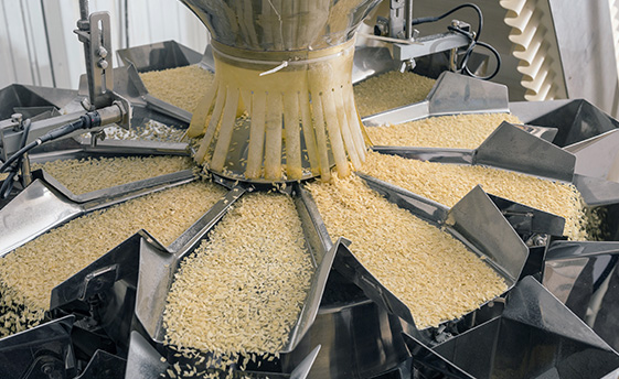 Looking for a new jobs