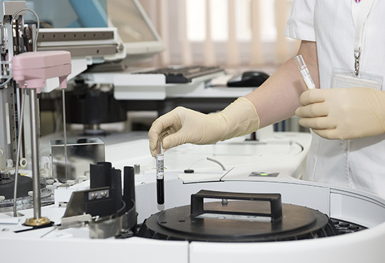 Looking for a new jobs